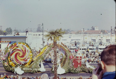 1970s Rose Parade Float Knotts Berry Farm Swirling Floral Design 35mm Slide