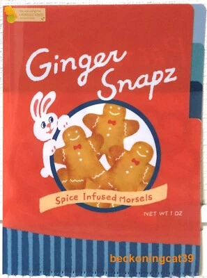 Sun-Star Trip to Germany A5 Size File Folder 3 Pocket Sweets 2023 MADE IN JAPAN - Image 1 of 2