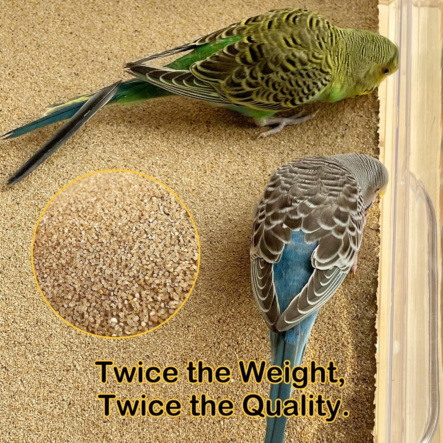 Slide 8