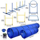 NTUD Dog Agility Training Equipment Set Outdoor Obstacle Courses Starter Kit