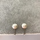 Picture 4 of 5