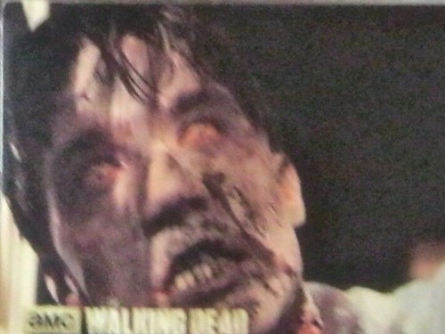 The walking Dead Season 3 Dog Tag 3D Sticker # S12 of 24