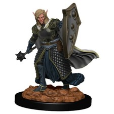D D Male Elf Cleric Premium Painted Fantasy Miniature WZK93008 Wizkids