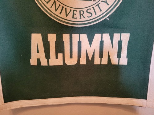 Vintage Michigan State University Spartans Alumni Wool Felt Banner 36" X 18 - Picture 4 of 5