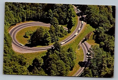 Postcard Great Smoky Mountains NP TN Loop-Over U.S. 441 Road