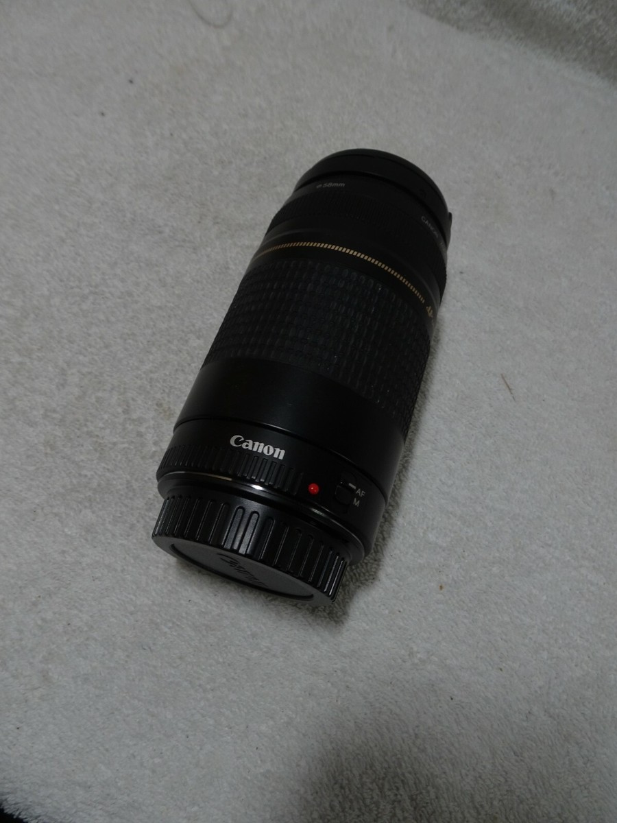 Canon EF 75-300mm f/4-5.6 II Telephoto Zoom Lens ultrasonic