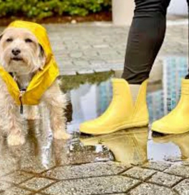 London Fog Piccadilly Rain Boots Yellow Ankle Size 10 eBay