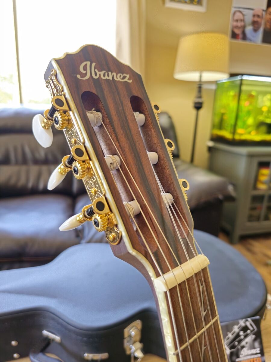 Ibanez Tod10n With Gator Hard Case | eBay Ibanez Tod10n With Gator Hard Case | eBay