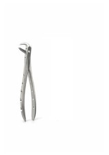 Wise Dental Surgical Extraction forceps  73 European Style Serrated