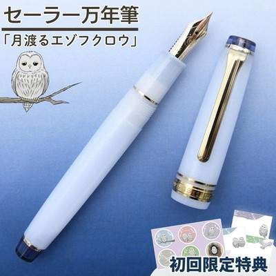 Sailor Pro Gear Slim Ezofukurou Fountain Pen 14K Gold Nib EF, F, M New Japan
