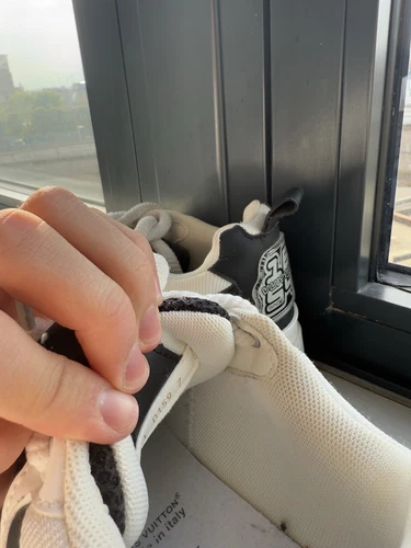 Louis Vuitton Skate Sneaker Trainers