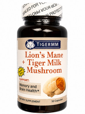 Lion's Mane + Tiger Milk Mushroom Memory Combo