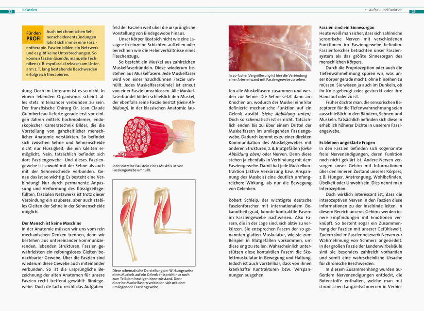 Thumbnail - Fasziale Schwungbewegungen Stefan Wegener 9783767912403