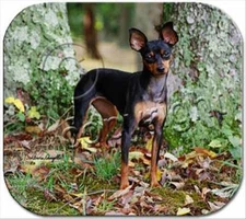 Miniature Pinscher Black Tan Dog Computer MOUSE PAD Mousepad