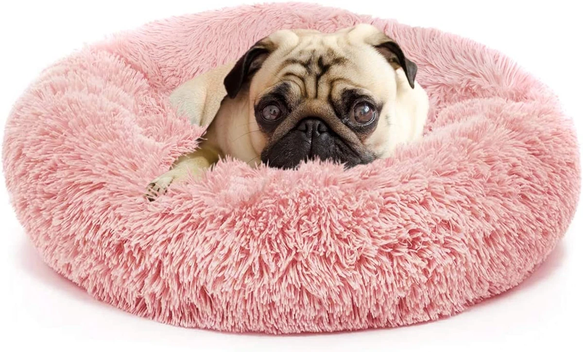 Ninipet bed clearance