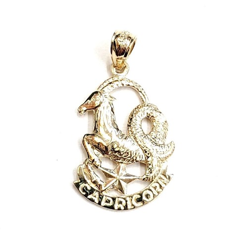 14k yellow Gold Capricorn zodiac sign astrology Pendant charm fine jewelry 2g - 第 1/12 張圖片