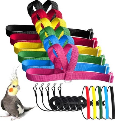 Adjustable Bird Harness with 80 Inch Leash, Outdoor Flying Training Rope Kit for