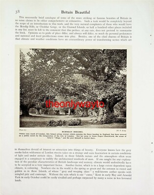 Burnham Beeches, Buckinghamshire, Großbritannien, Buchillustration, um 1920