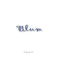 Blum | Buch | 9783848256976