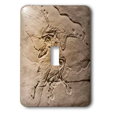 3dRose lsp_16716_1"Archaeopteryx Toggle Switch