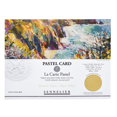 Sennelier La Carte Pastel Card Pochette 15.75 X 11 Monochromatic Naples Yellow