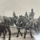 VINTAGE Photo B&W Junk Art WW2 German War Military Nazi Soldiers Horse Cart