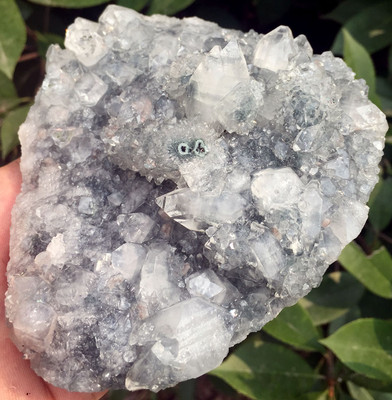 646g Amazing!!! New Find Raw Natural Apophyllite Crystal Specimens India ip0808