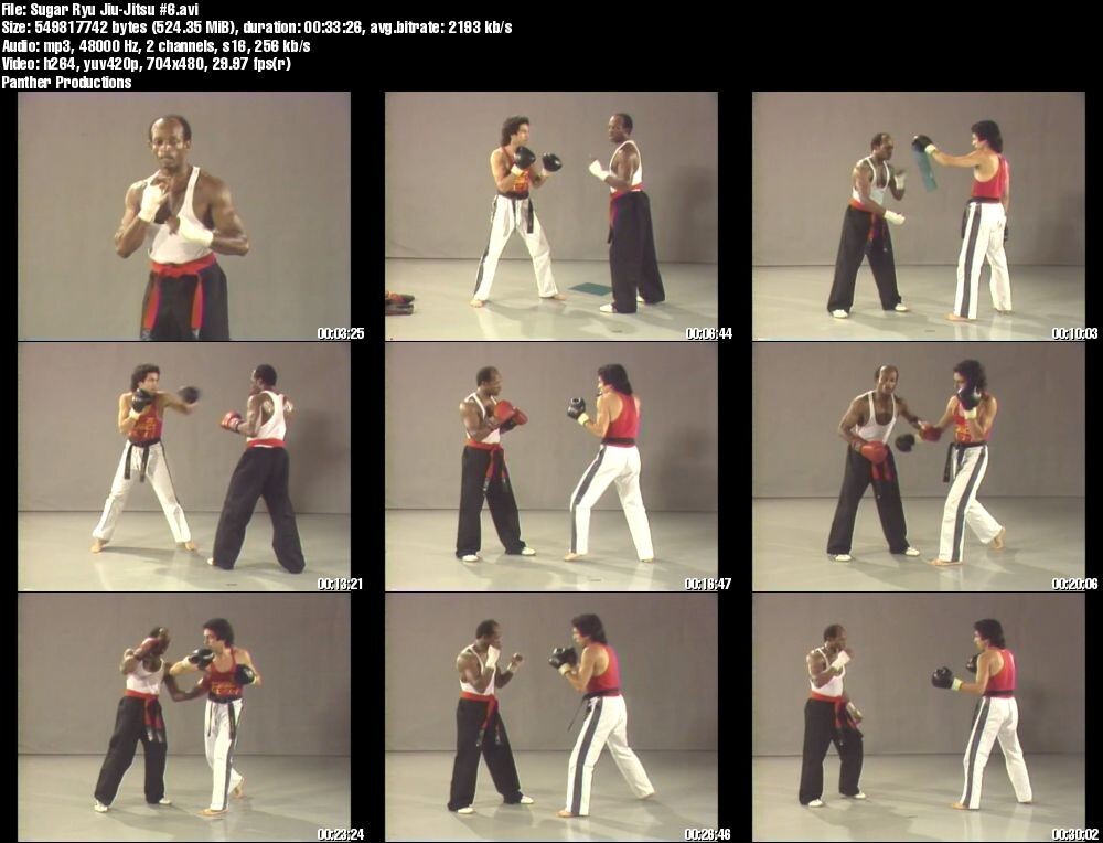 レスリング、シ─クレット11DVD柔術 ベンアスクレン Sugar Ryu Jiu Jitsu starring Grandmaster Robert Crosson (6