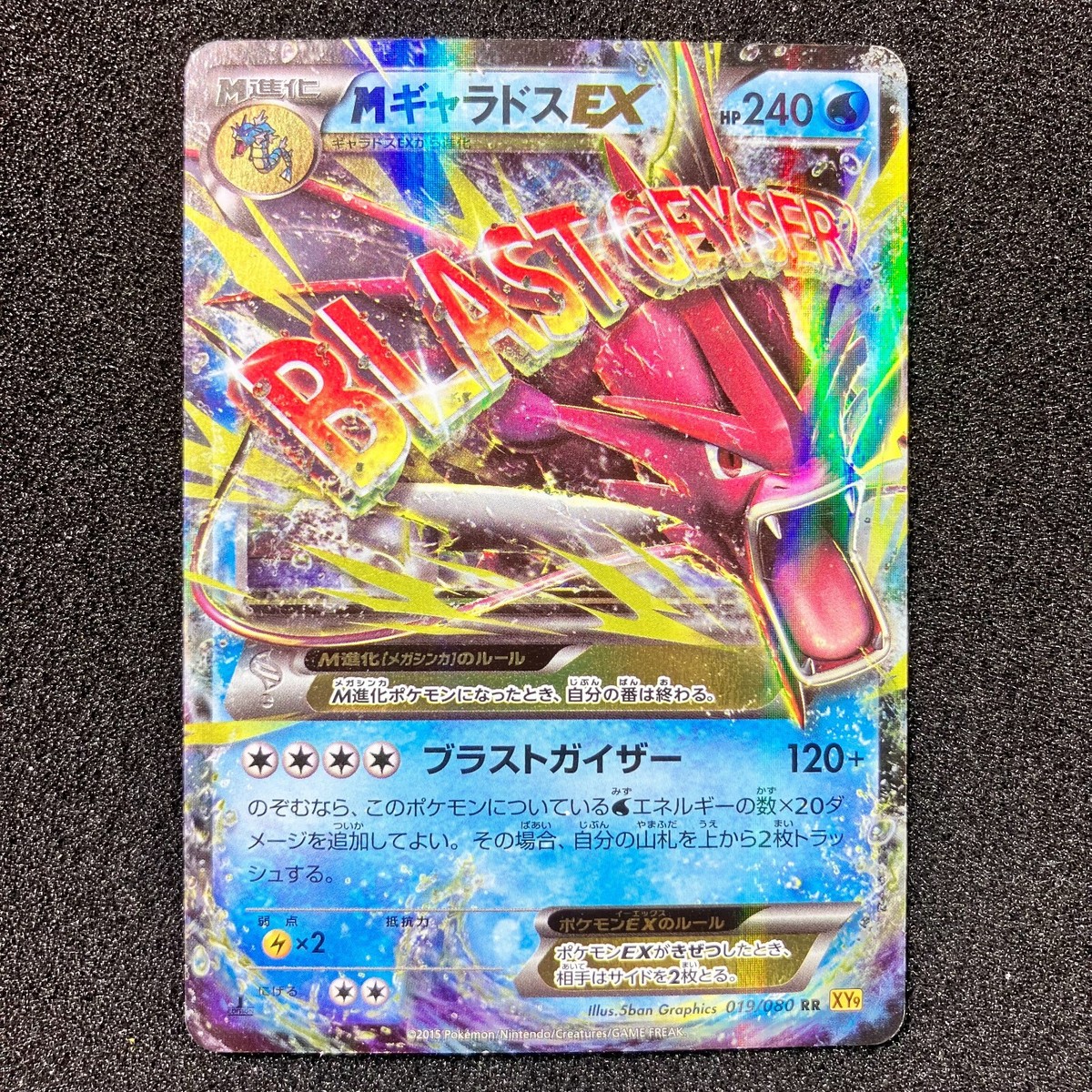 PSA10 MギャラドスEX 019/080 RR XY9 Gyarados M Gyarados EX 019/080 - XY9 2015 Holo Rare Pokemon Card Japanese
