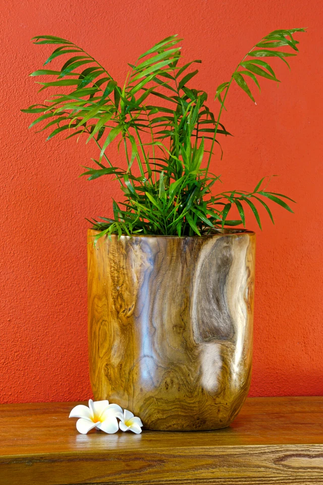 Übertopf Holz Massivholz Blumentopf Blumen Über Topf Teakholz Wurzelholz massiv - Bild 2 von 4