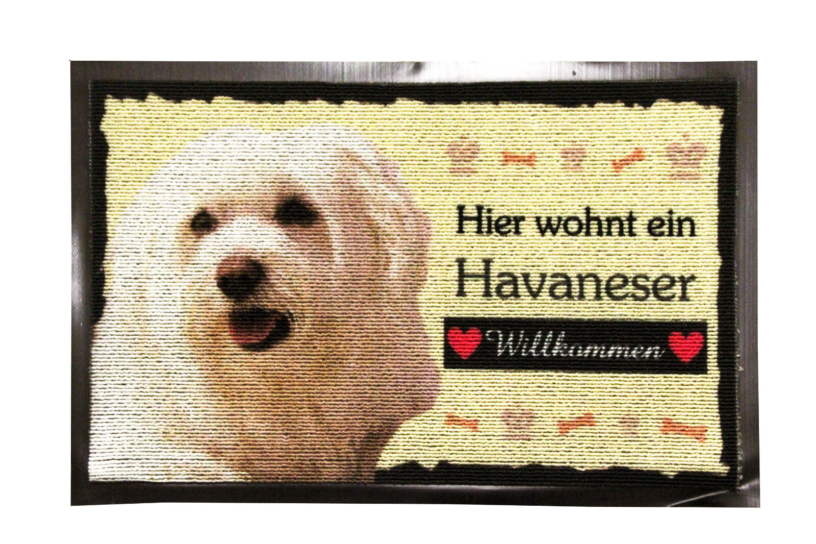 Bild 1 von 1