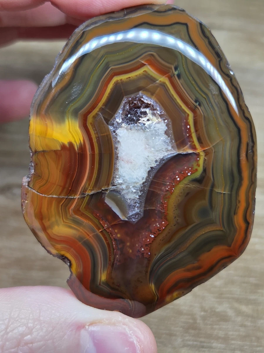 Condor Agate for sale | eBay