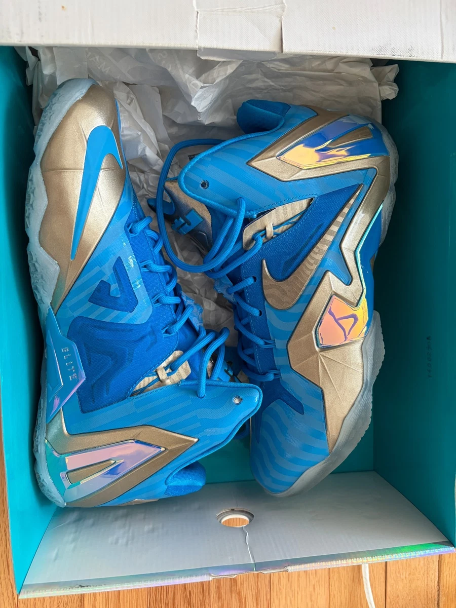 Nike LeBron 11 Elite Collection Maison Du LeBron for Sale