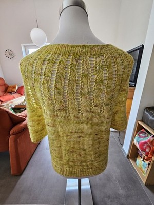 Sommerpulli aus Handgefärbtem Merino-Leinengarn Gr. M
