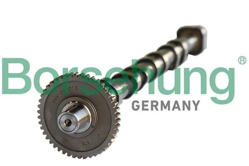 Borsehung B18980 Camshaft for AUDI,SEAT,SKODA,VW - 第 3/3 張圖片