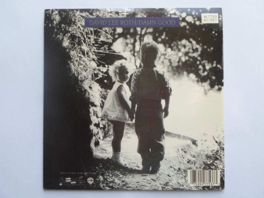 David Lee Roth Damn Good 7