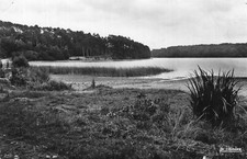 *7712 cpsm 03 Etang de Saint Bonnet Tronçais