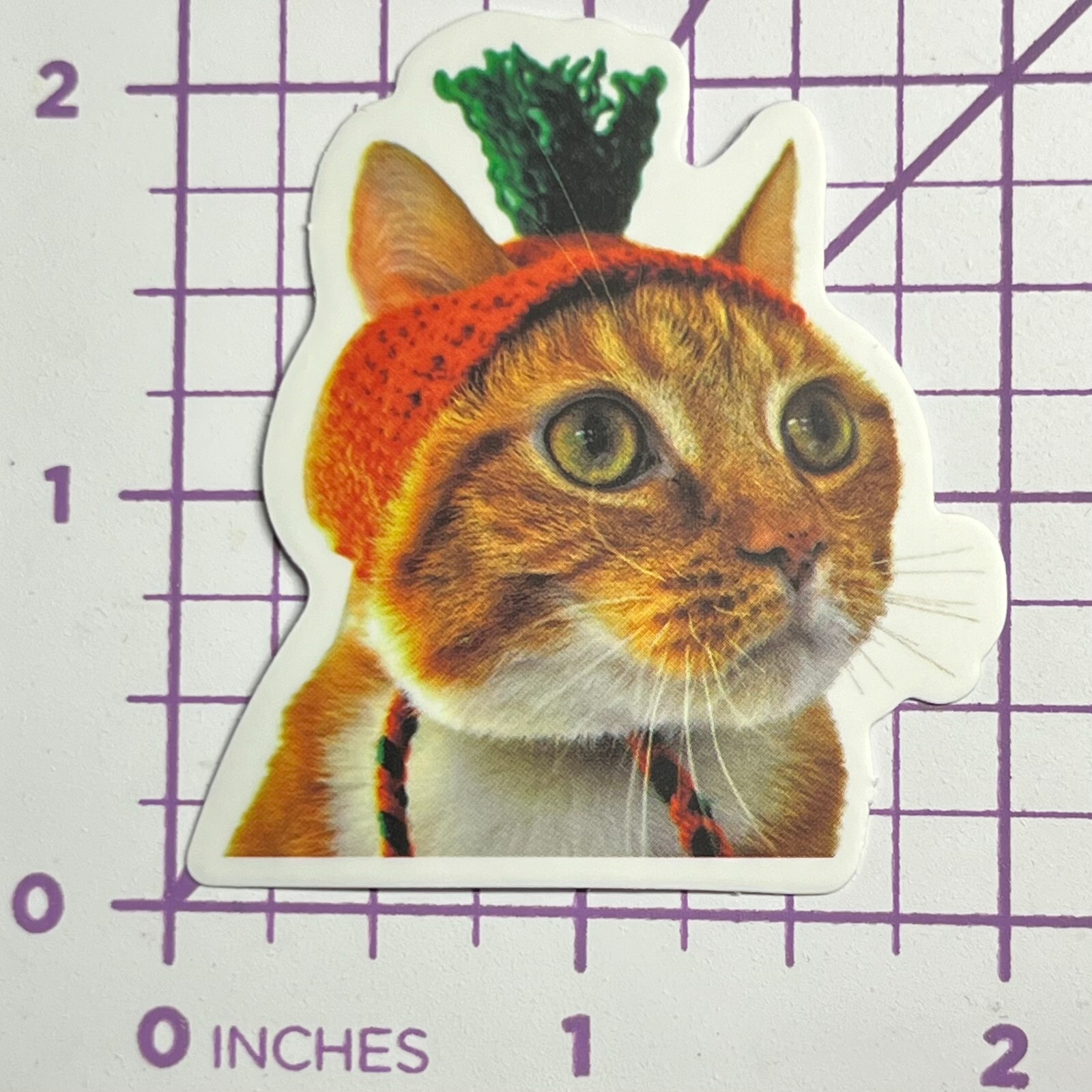 Carrot Hat Costume Kitty Cat - Vinyl Sticker Decal Sticker Bomb Humor Funny