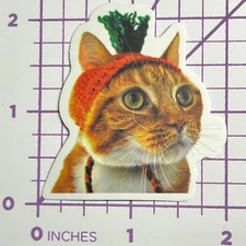 Carrot Hat Costume Kitty Cat - Vinyl Sticker Decal Sticker Bomb Humor Funny