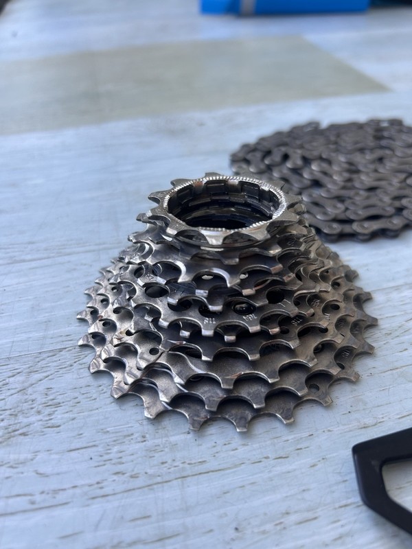 Shimano 11-Speed Cassette