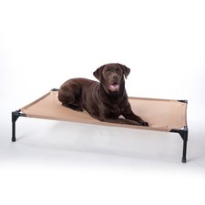 All Weather Pet Cot Tan Large 42 X 30 X 7 Inches