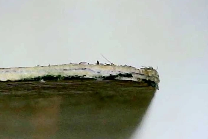 MTG FORCEFIELD Unlimited (Ink) (OldManMTG 012-387) - Image 3 of 4