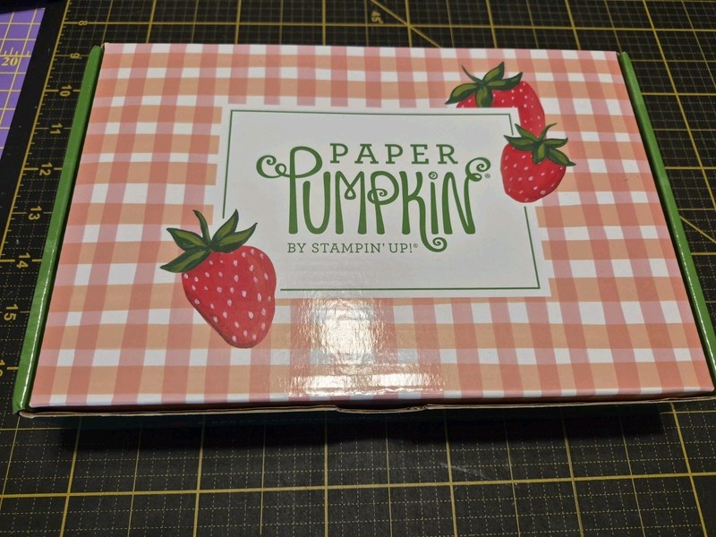 New In Box Stampin up Paper Pumpkin July 2025 kit- Sweeter With You Strawberries