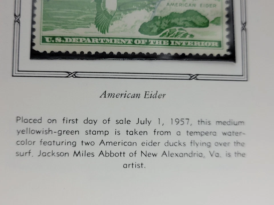 Migratory Bird Hunting Duck Stamp, $2 1957 1958, American Eider, Green, SIGNED - Image 2 of 2