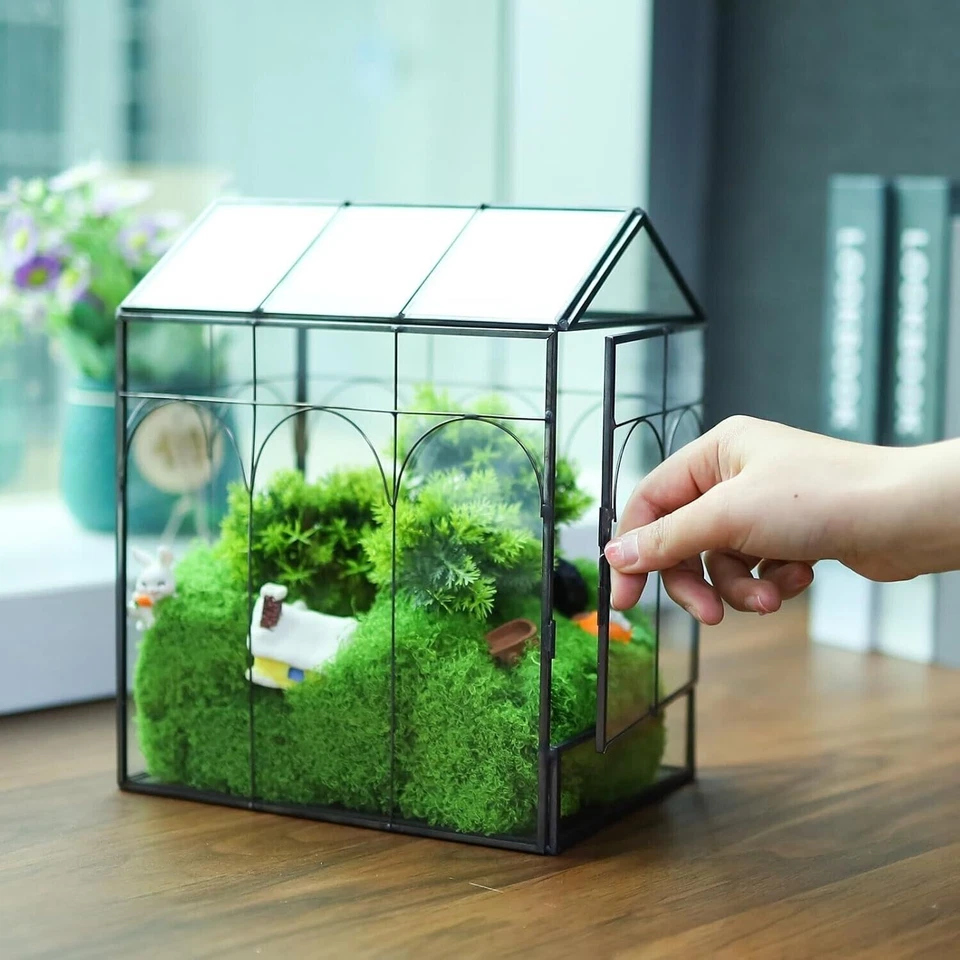 Contenedor en forma de casa para terrario de vidrio de cactus suculentas con jardinera de puerta lateral Foto 3 de 4