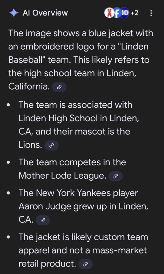 Jaqueta corta-vento Linden Lions HS (AARON JUDGE) 4XL XXXXL - Imagem 3 de 4