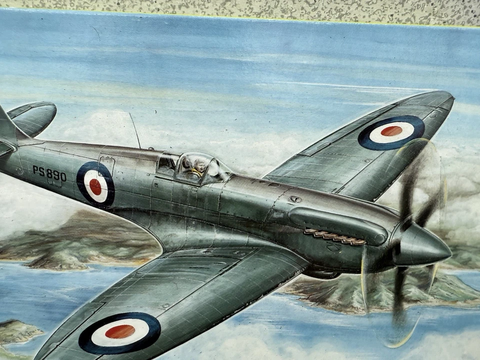 Kit de avión modelo MPM Supermarine Spitfire PR Mk XIX Fighter escala 1/72 C72025 Foto 3 de 4