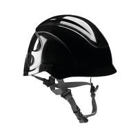 Image of Centurion Nexus Heightmaster Safety Helmet Black CNS16EKFMR