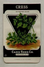 1920's LITHO CARD CO. CRESS - PEPPER GRASS SEED PACKET