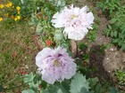Bild 5 von 9